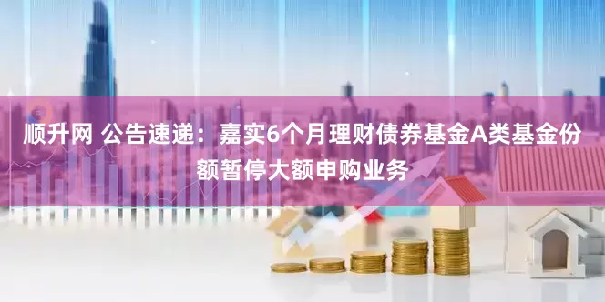 顺升网 公告速递：嘉实6个月理财债券基金A类基金份额暂停大额申购业务