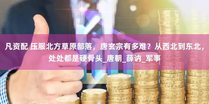 凡资配 压服北方草原部落，唐玄宗有多难？从西北到东北，处处都是硬骨头_唐朝_薛讷_军事