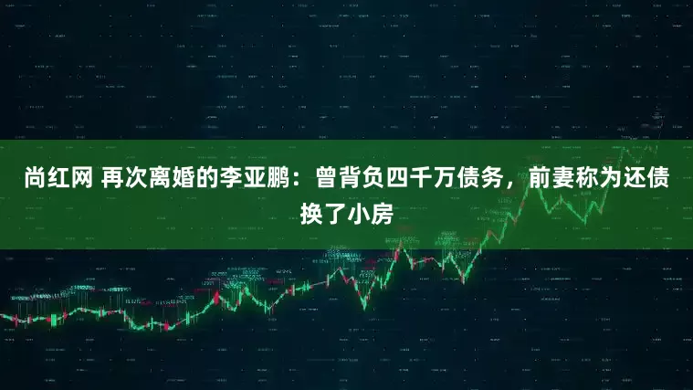 尚红网 再次离婚的李亚鹏：曾背负四千万债务，前妻称为还债换了小房