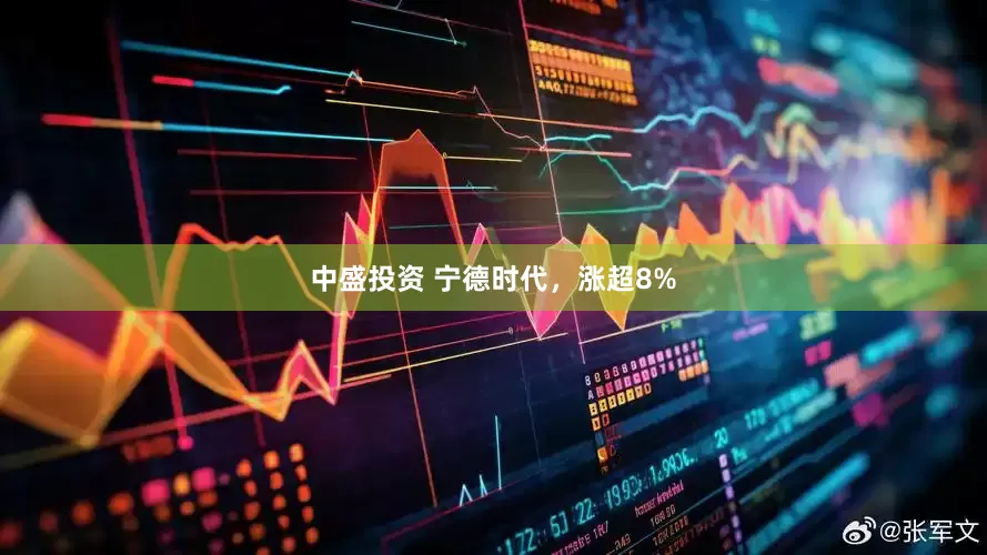 中盛投资 宁德时代，涨超8%
