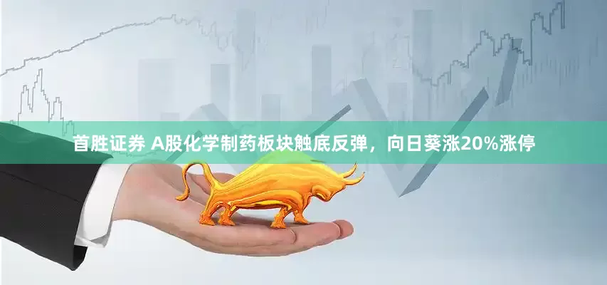 首胜证券 A股化学制药板块触底反弹，向日葵涨20%涨停